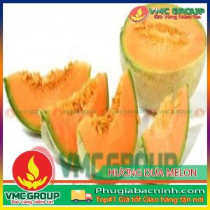 HƯƠNG DƯA MELON THỰC PHẨM 