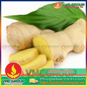 HƯƠNG GỪNG THỰC PHẨM 