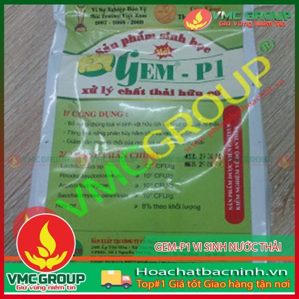 GEM P1 XỬ LÝ CHẤT THẢI, RÁC THẢI 