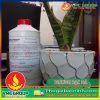 HƯƠNG BẠC HÀ THỰC PHẨM 